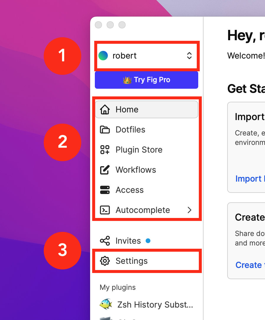 Fig Dashboard window with a focus on the sidebar