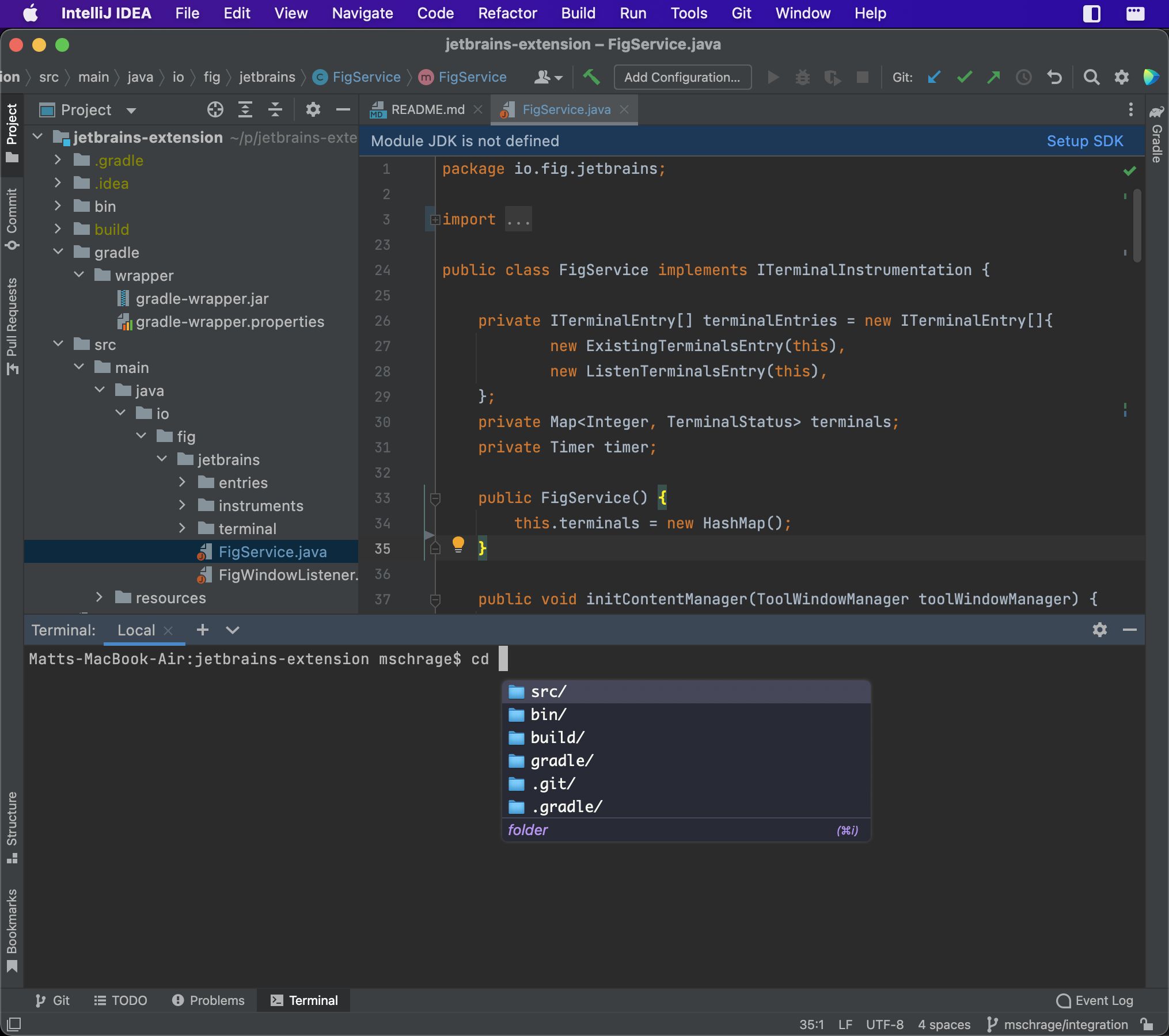 Fig working in Intellij