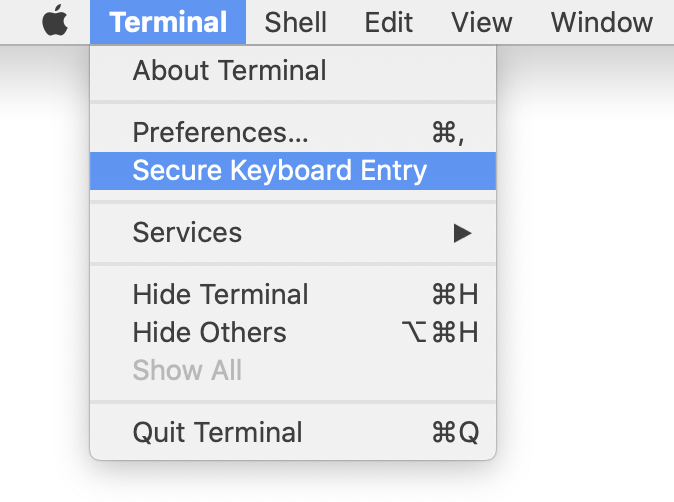 Secure Keyboard Entry in Terminal